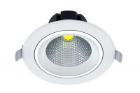 BOSS LED DL